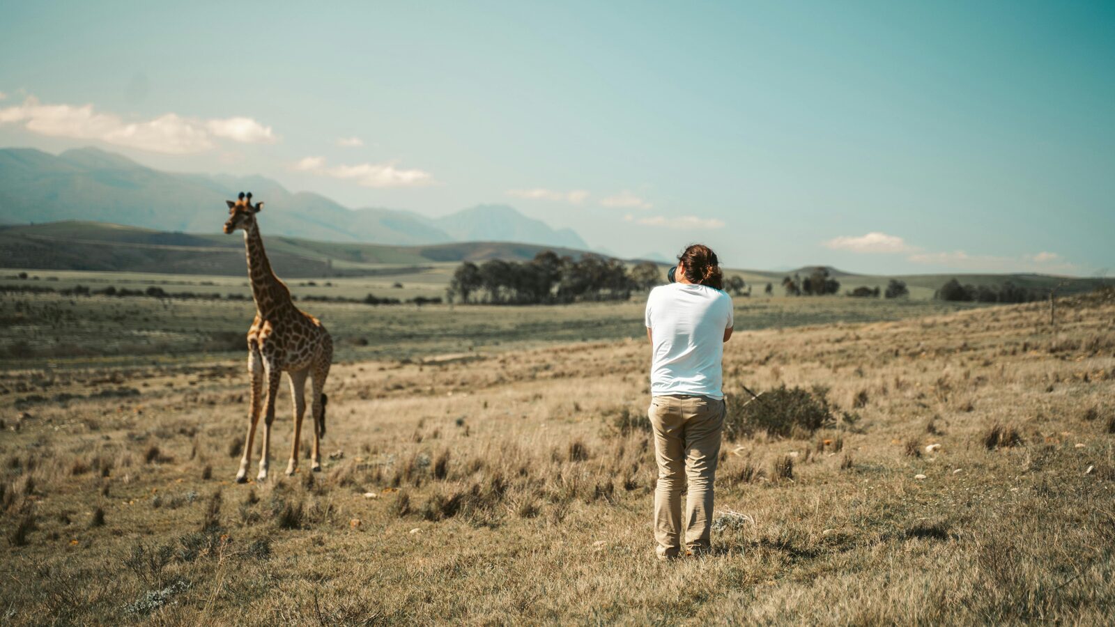 Photographic safari from an open 4x4 vehicle