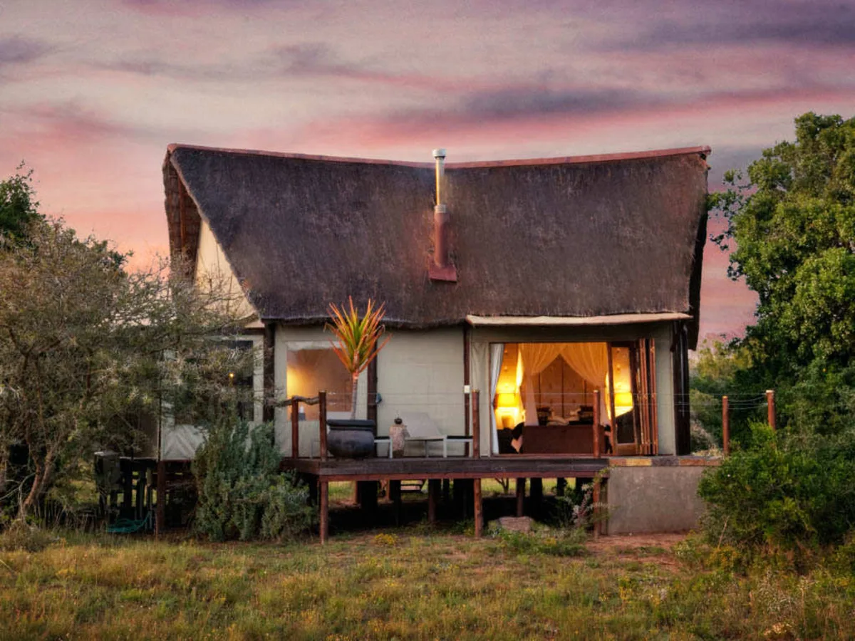 A single tented-and-thatched suite on raised wooden stilts at pink hour