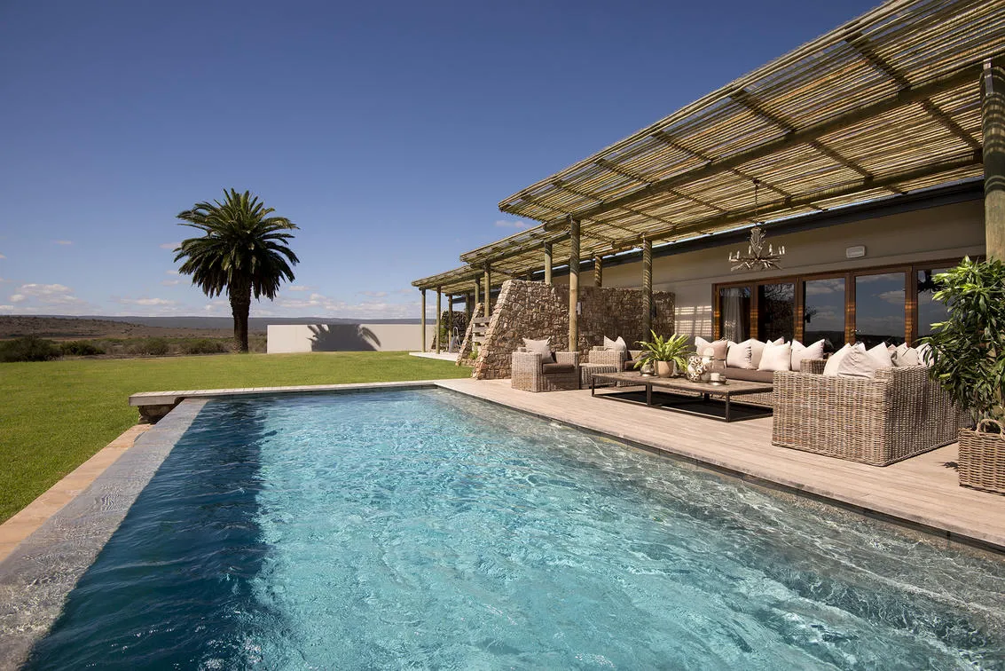 Pool and palm tree with sweeping lawn beyond
