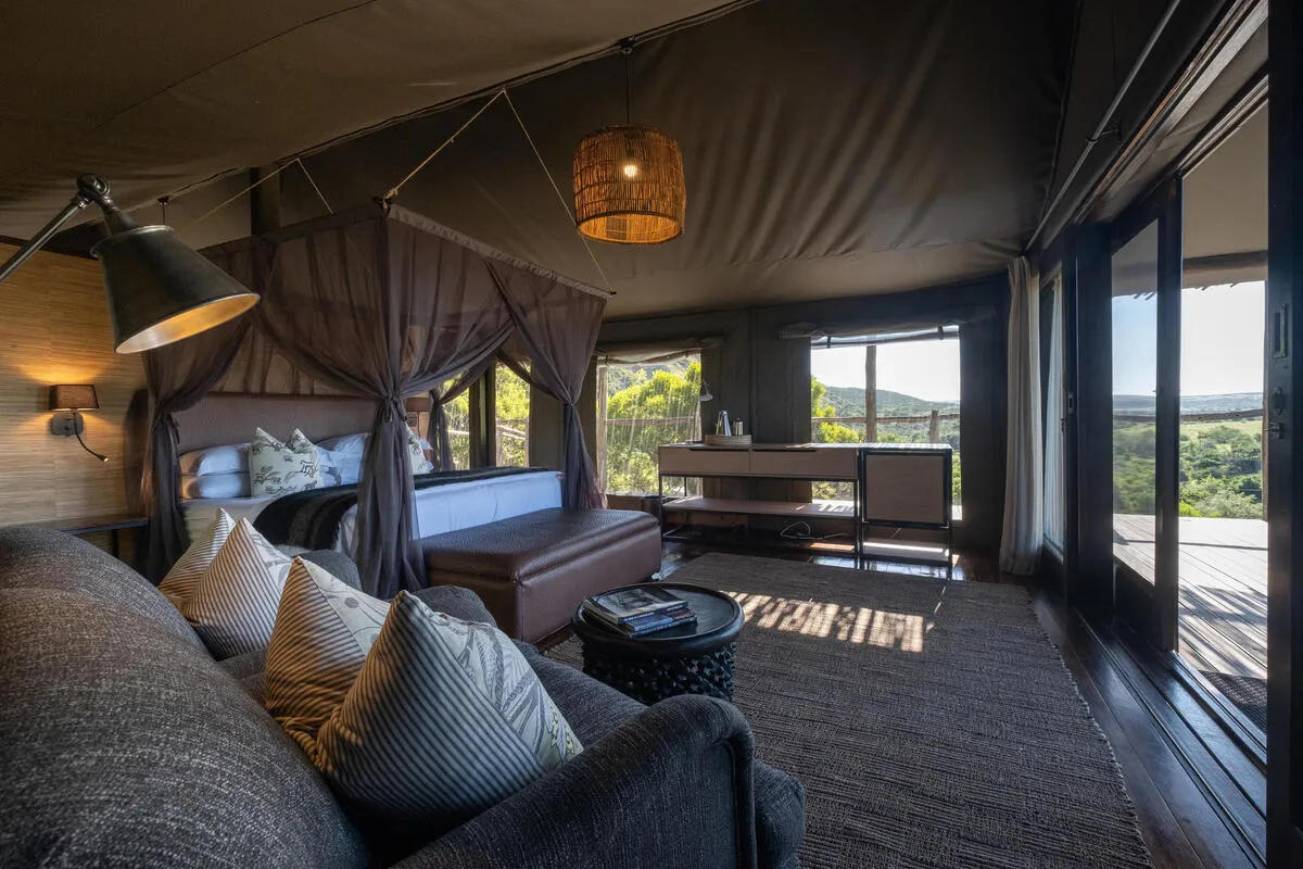 Classic Safari Tent at HillsNek Safari Camp