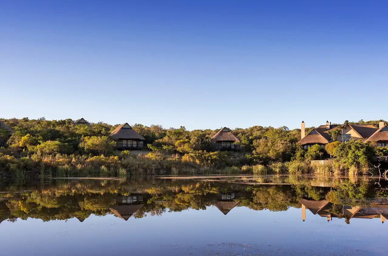 Reflections of Kichaka over the Lalibela waterhole