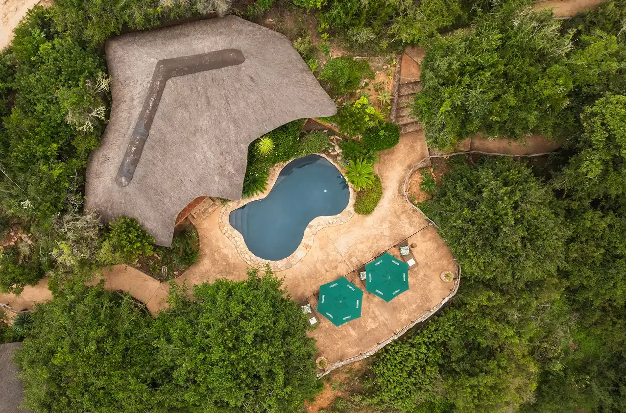 Aerial of Lentaba thatched chalets in the indigenous bush