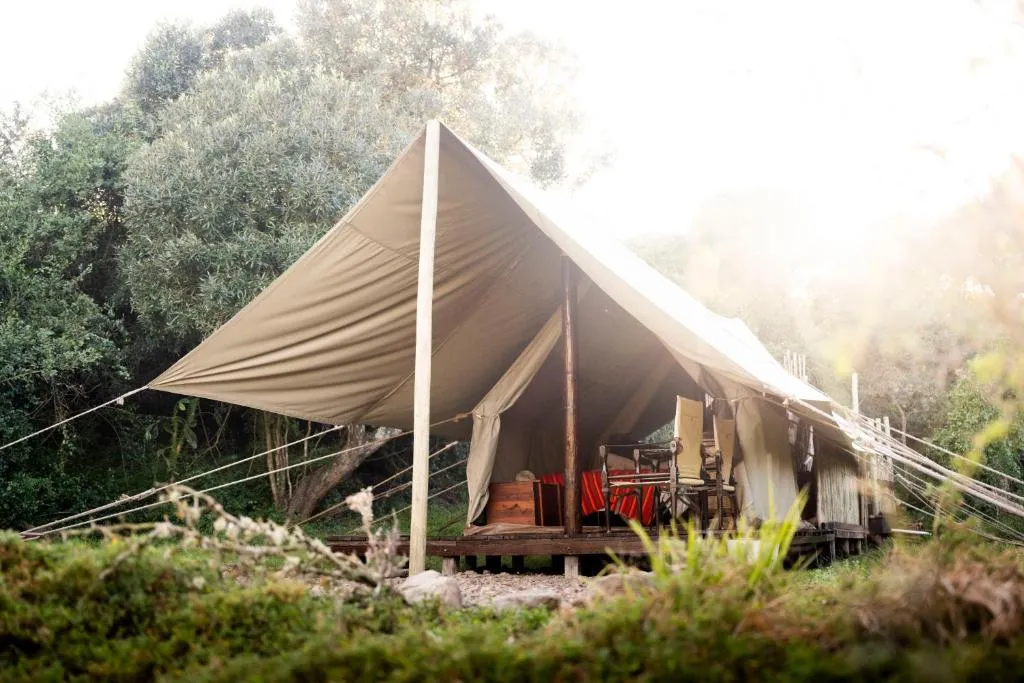 Daytime canvas tent on raised wooden deck under the trees