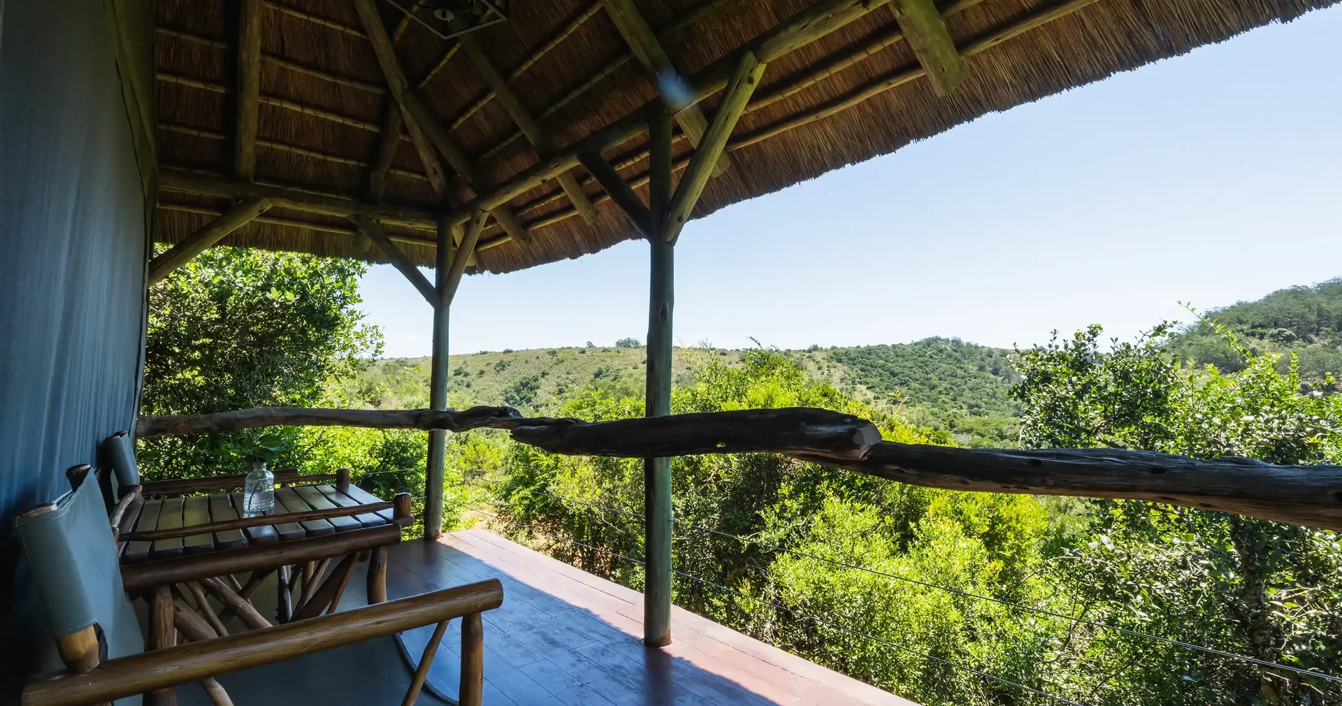 Tree Tops open-plan lounge with bush views