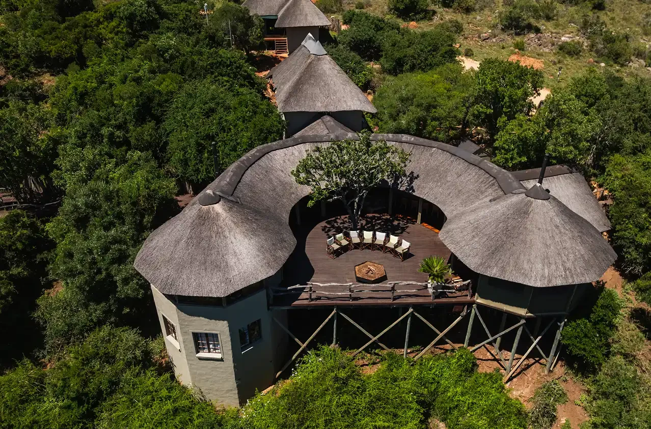 Aerial of Tree Tops camp and pool in the bush