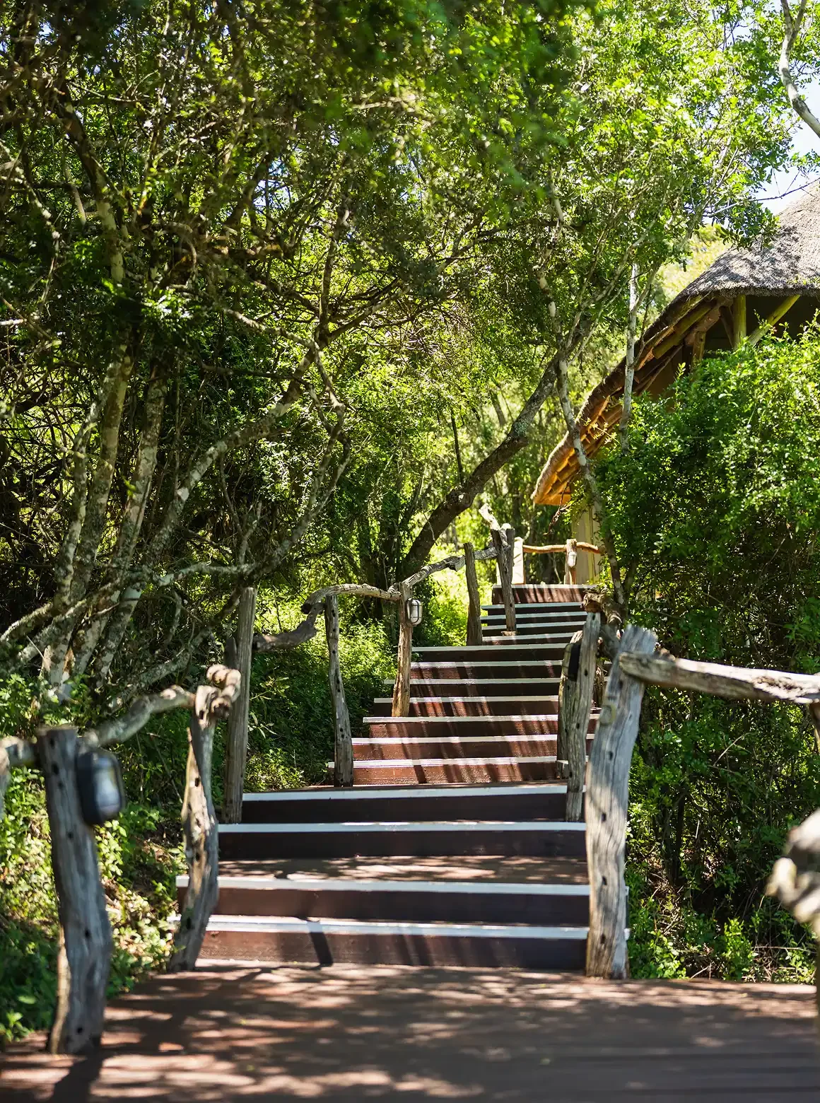 Tree Tops Luxury Room at Tree Tops Safari Lodge